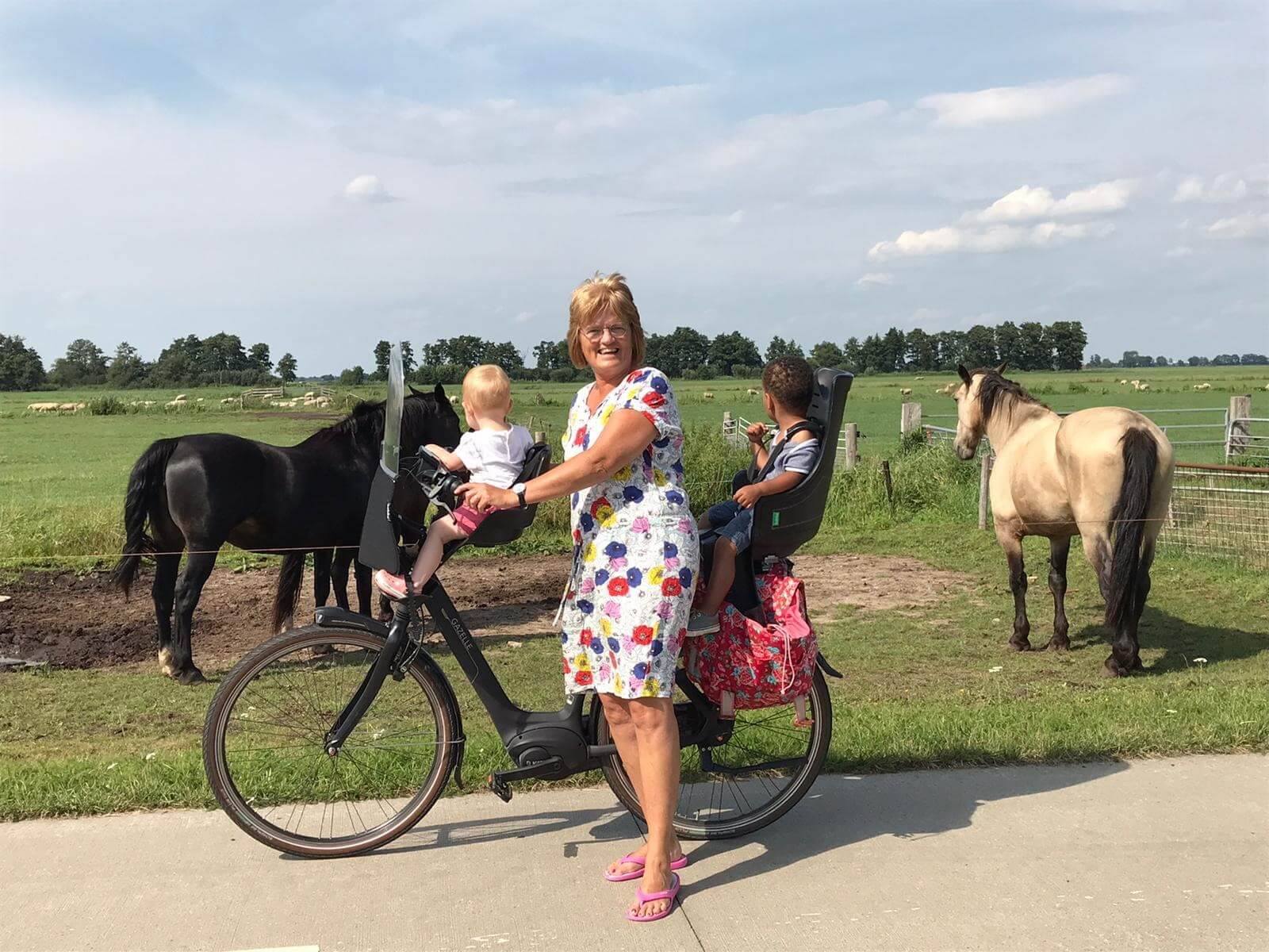 met Gastouder Hasselt paardjes kijken